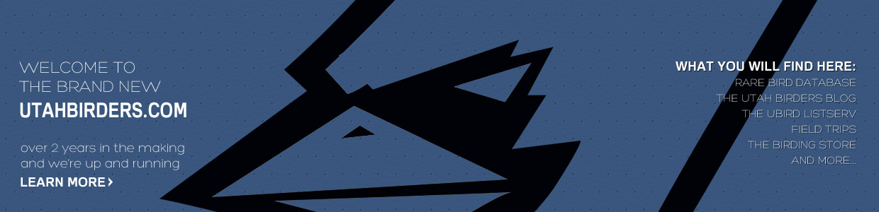 Utah Birders, Utah Birds, Utah Birding, Utah Bird ID