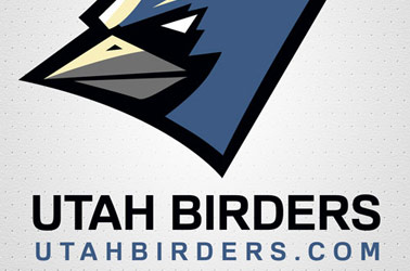 Utah Birds, Birding, and Birders Sticker